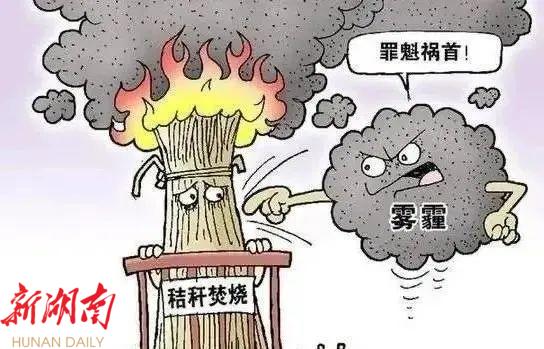 秸秆焚烧危害多 这些要知道!_邵阳头条网